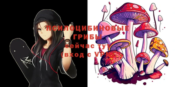 мет Аркадак