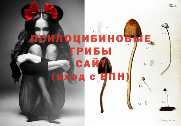 герыч Армянск