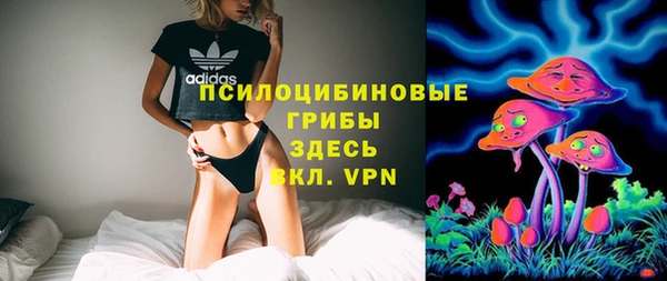 гашик Арсеньев