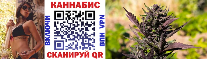 Каннабис план  где продают   Артёмовск 